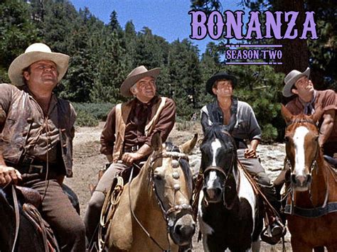 svcf888|whatisbonanza.com (Bonanza Exorsa .